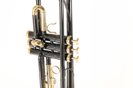 Trąbka Bb Roy Benson TR-101K