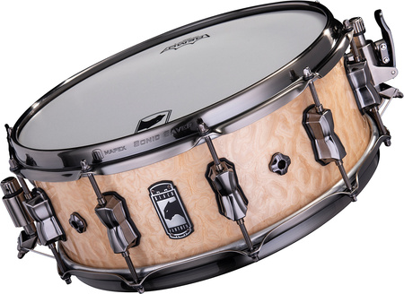 Mapex Black Panther Pegasus 14" x 5,5" WERBEL BPNMW4550LXN - luksusowy klosz bukowy
