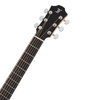 Furch Blue Deluxe Gc-CM CNR Active