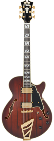 D’Angelico Deluxe SS Brown Burst - gitara elektryczna