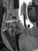 Prodipe BL21 Lanen Contrebasse - mikrofon pojemnościowy - kontrabas