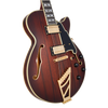 D’Angelico Deluxe SS Brown Burst - gitara elektryczna