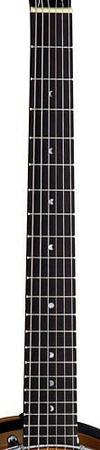 Luna 6 String Banjo - banjo 6cio strunowe