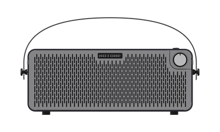 Hotone Pulze AP-30BK - modelujący wzmacniacz stereo 30 W