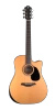 Furch Blue Deluxe Dc-CM Gitara Akustyczna