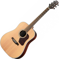 WALDEN D 800 EW (N) gitara elektroakustyczna