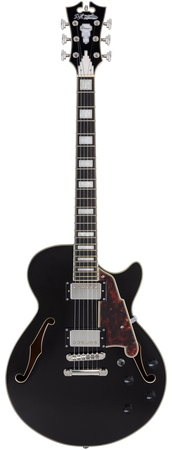 D'Angelico Premier SS Black Flake - gitara elektryczna
