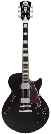 D'Angelico Premier SS Black Flake - gitara elektryczna