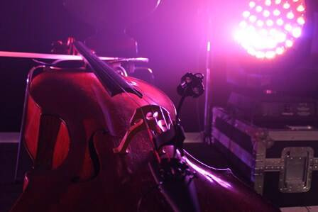 Prodipe CL21 Lanen Cello - mikrofon pojemnościowy - wiolonczela