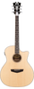 D'angelico Premier Gramercy LS Natural - gitara elektroakustyczna