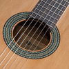 Prodipe Guitars Recital 300 - gitara klasyczna