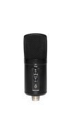 Stagg SUSM60D - mikrofon pojemnościowy USB, kardioida i dookólny, 24 bit / 96 kHz