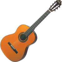WASHBURN C40 - Klasyczna gitara koncertowa, nat. dąb, rozmiar 4/4