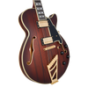 D’Angelico Deluxe SS Brown Burst - gitara elektryczna