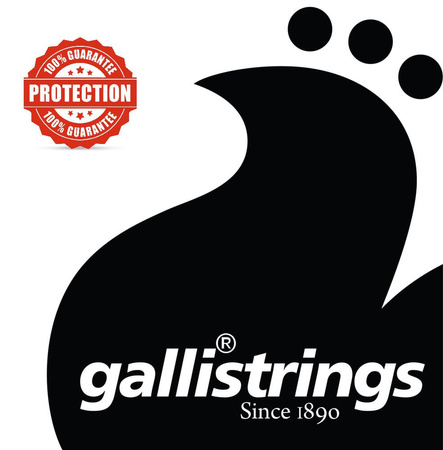 Galli EG1252 Blues Heavy - struny powlekane do gitary elektrycznej .012-.052