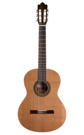 Prodipe Guitars Recital 200 4/4 - gitara klasyczna