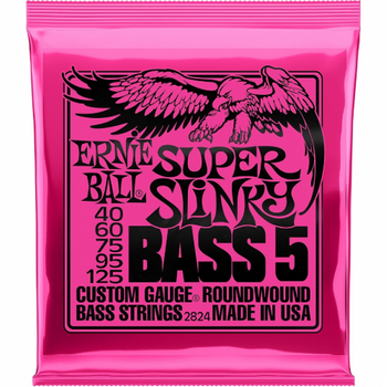 ERNIE BALL EB 2824