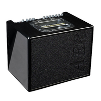 AER COMPACT 60 IV (BHG) combo do gitary akustycznej
