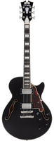 D'Angelico Premier SS Black Flake - gitara elektryczna