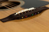 GITARA ELEKTROAKUSTYCZNA - TAKAMINE P2DC