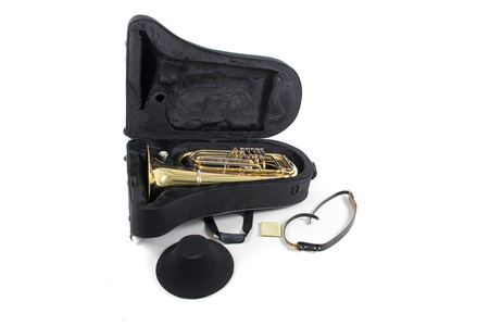 BBb-tuba Roy Benson TB-202