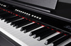 Ringway RP120 RW - pianino cyfrowe