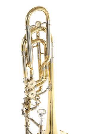 Puzon basowy w stroju Bb/F/Gb/D Roy Benson BT-260