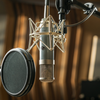 Universal Audio UA – Bock 167 – Mikrofon lampowy