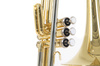 Puzon wentylowy w stroju Bb Roy Benson VT-227
