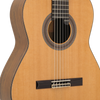 Prodipe Guitars Soloist 700 4/4 - gitara klasyczna