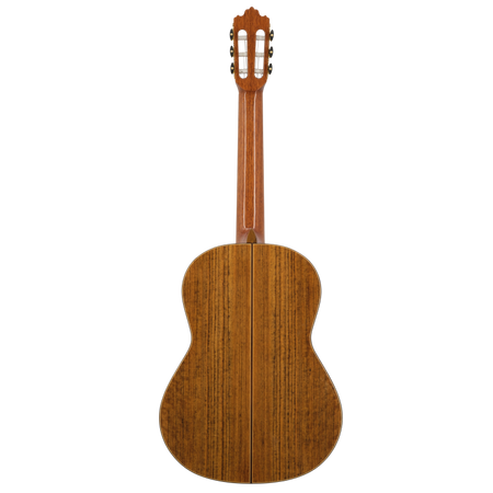 Prodipe Guitars Soloist 900 4/4 - gitara klasyczna