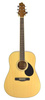 Samick GD-60 N - gitara akustyczna dreadnought, naturalny połysk