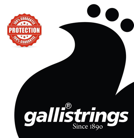 Galli RS1059 7-strings Regular Light - struny do gitary elektrycznej