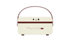 Hotone Pulze Jr. AP-20WH - modelujący wzmacniacz stereo 20 W