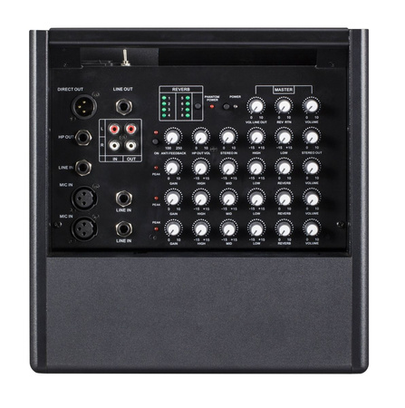 Prodipe Natural6 - combo akustyczne 140W