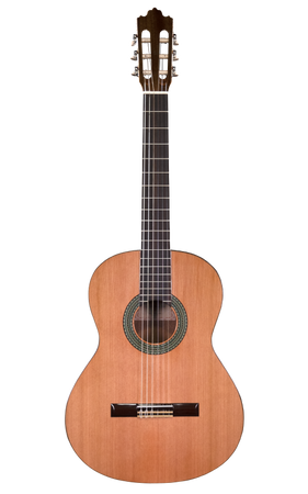Prodipe Guitars Recital 300 4/4 - gitara klasyczna