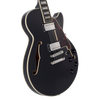 D'Angelico Premier SS Black Flake - gitara elektryczna