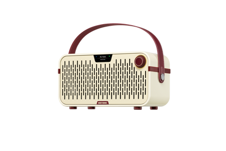 Hotone Pulze Jr. AP-20WH - modelujący wzmacniacz stereo 20 W