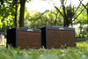 Joyo AC-20S - combo akustyczne 20W