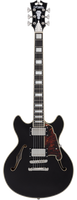 D'Angelico Premier Mini DC Black Flake - gitara elektryczna