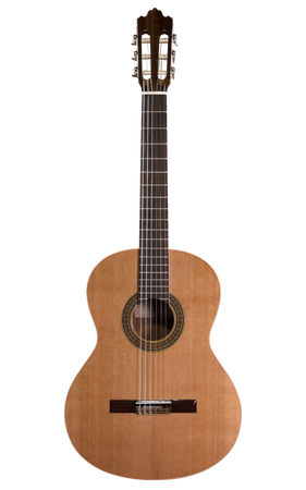 Prodipe Guitars Recital 200 4/4 - gitara klasyczna