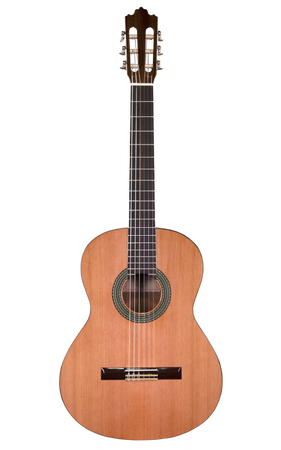 Prodipe Guitars Recital 300 4/4 - gitara klasyczna