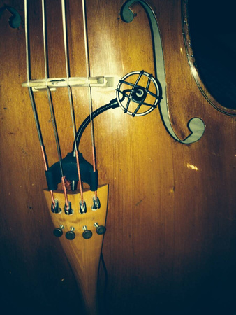 Prodipe CL21 Lanen Cello - mikrofon pojemnościowy - wiolonczela