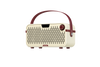 Hotone Pulze Jr. AP-20WH - modelujący wzmacniacz stereo 20 W