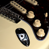 Prodipe Guitars ST80 RA Vintage White - gitara elektryczna