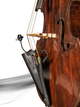Prodipe BL21 Lanen Contrebasse - mikrofon pojemnościowy - kontrabas