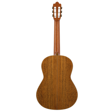 Prodipe Guitars Soloist 900 4/4 - gitara klasyczna