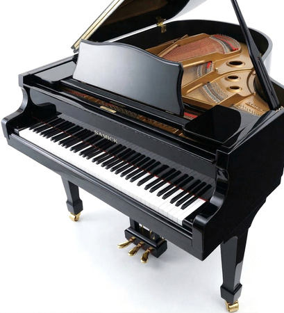 Samick SIG-59D EB HP - fortepian