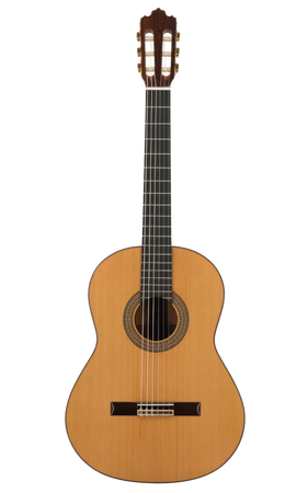 Prodipe Guitars Soloist 700 - gitara klasyczna