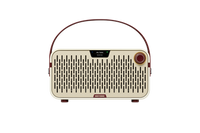 Hotone Pulze Jr. AP-20WH - modelujący wzmacniacz stereo 20 W